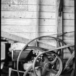 Botanička makro fotografija — analogni srebrno-želatinski print iz Tibor Arva botaničke serije, fine art crno-bela fotografija