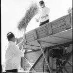 Tibor Arva Fotografie — Silbergelatine-Print, klassische analoge Schwarzweiß-Technik auf faserbasiertem Papier