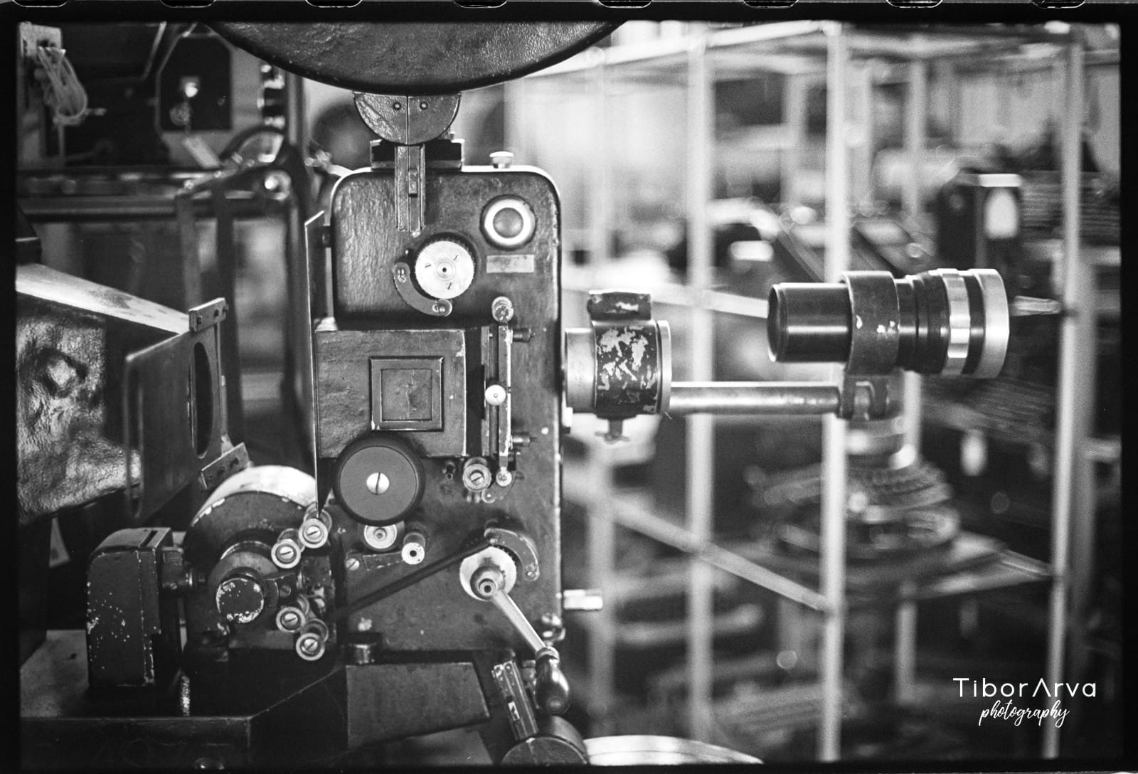 Echo — original analogni makro print maslačka, srebrno-želatinska fotografija