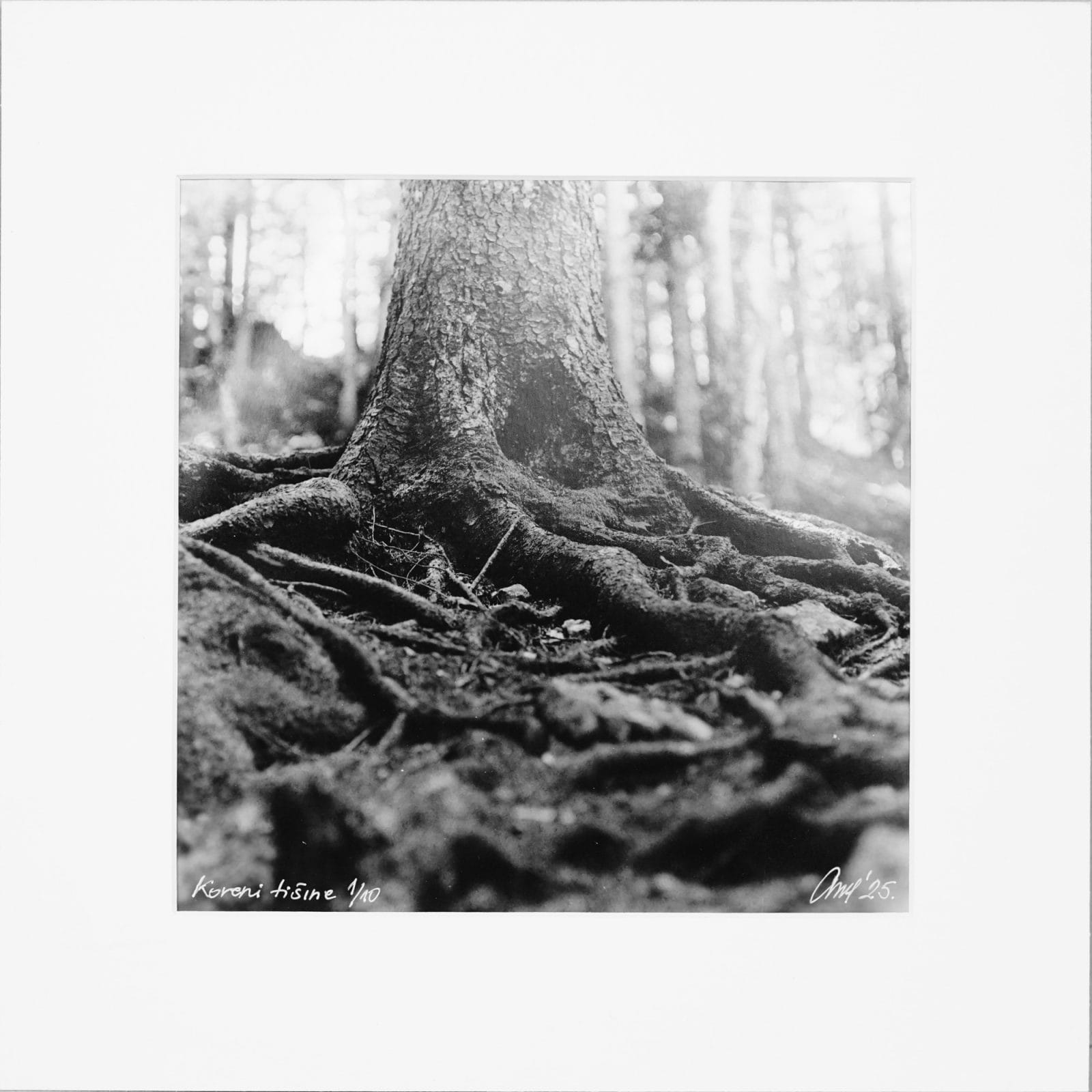 Roots of Silence –  2/10 - Handcrafted Silver Gelatin Print, Analog Darkroom Process by Tibor Arva