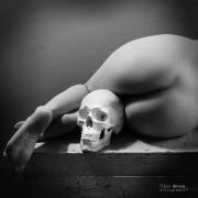 Eros and Thanatos I